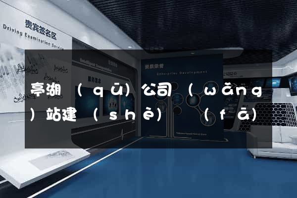 亭湖區(qū)公司網(wǎng)站建設(shè)開發(fā)