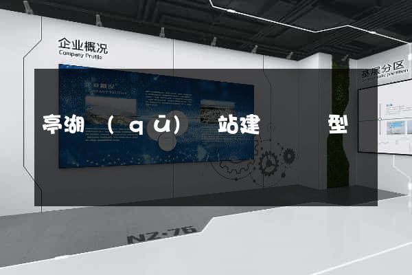 亭湖區(qū)網站建設營銷型