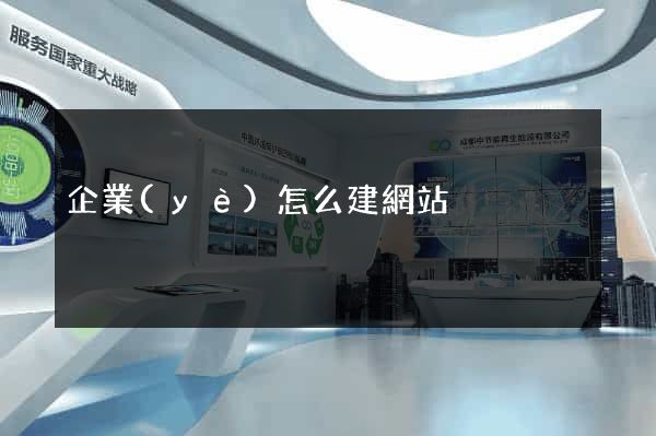 企業(yè)怎么建網站