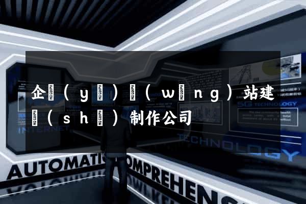 企業(yè)網(wǎng)站建設(shè)制作公司