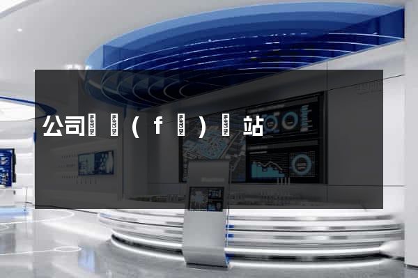 公司開發(fā)網站