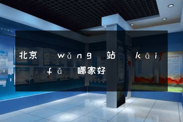 北京網(wǎng)站開(kāi)發(fā)哪家好