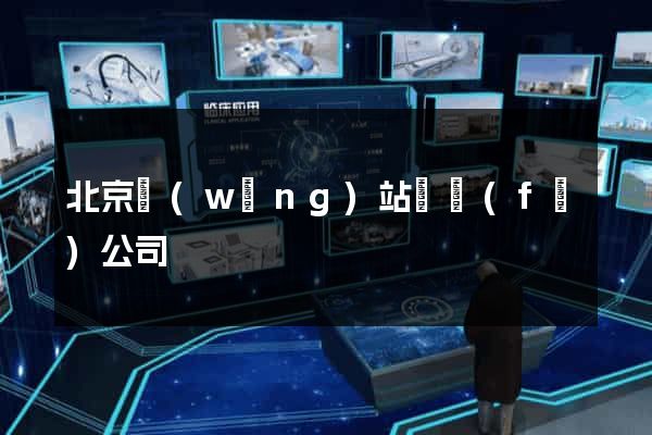 北京網(wǎng)站開發(fā)公司