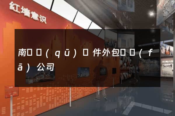 南匯區(qū)軟件外包開發(fā)公司