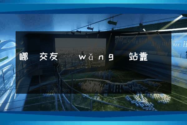 哪個交友網(wǎng)站靠譜