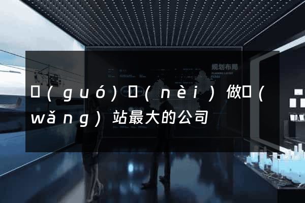 國(guó)內(nèi)做網(wǎng)站最大的公司