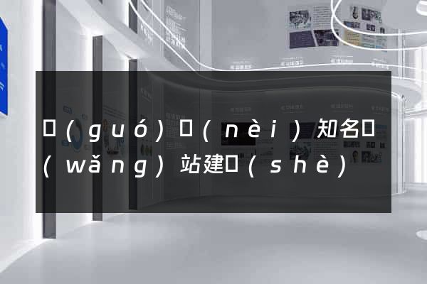 國(guó)內(nèi)知名網(wǎng)站建設(shè)