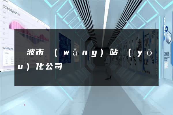 寧波市網(wǎng)站優(yōu)化公司