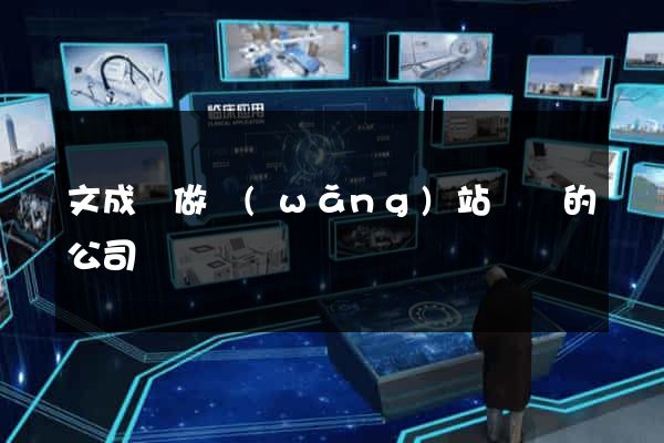 文成縣做網(wǎng)站設計的公司