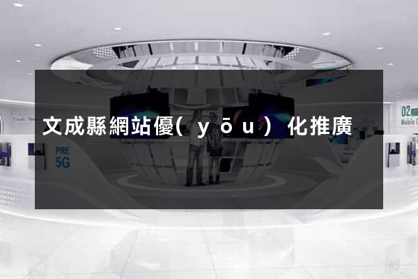 文成縣網站優(yōu)化推廣