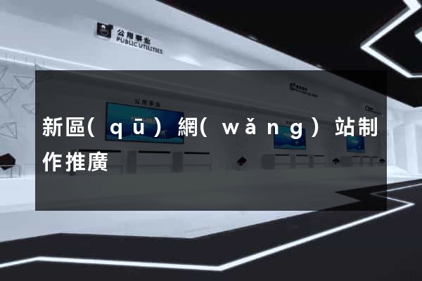 新區(qū)網(wǎng)站制作推廣