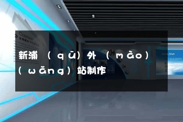 新浦區(qū)外貿(mào)網(wǎng)站制作