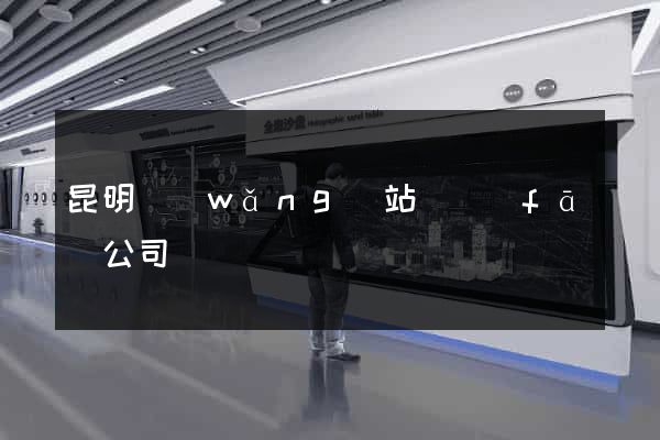 昆明網(wǎng)站開發(fā)公司