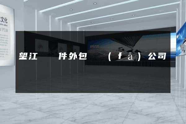 望江縣軟件外包開發(fā)公司