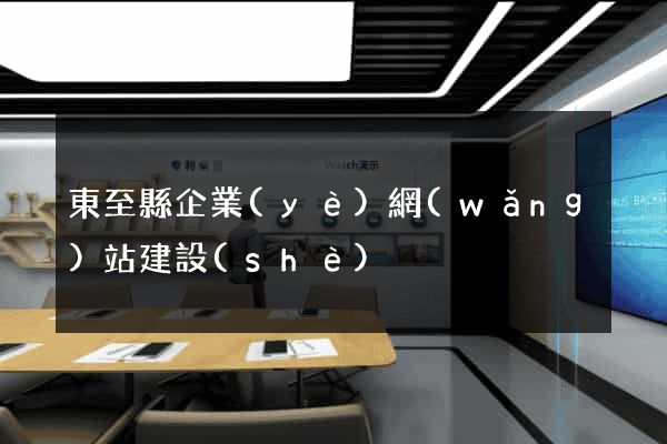 東至縣企業(yè)網(wǎng)站建設(shè)