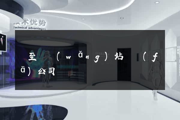 東至縣網(wǎng)站開發(fā)公司