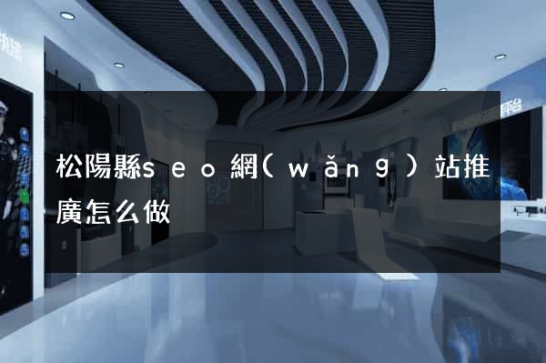 松陽縣seo網(wǎng)站推廣怎么做