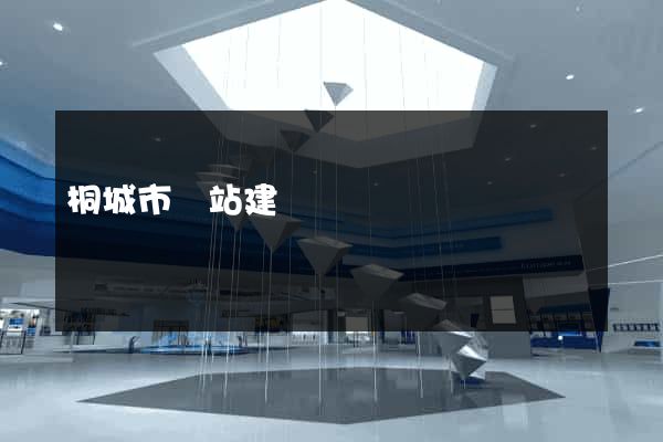 桐城市網站建設