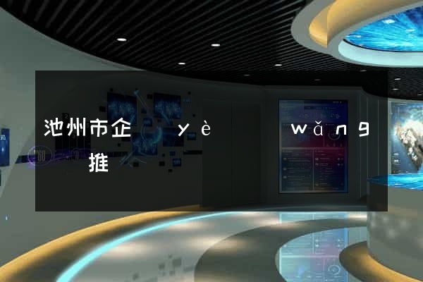 池州市企業(yè)網(wǎng)絡推廣