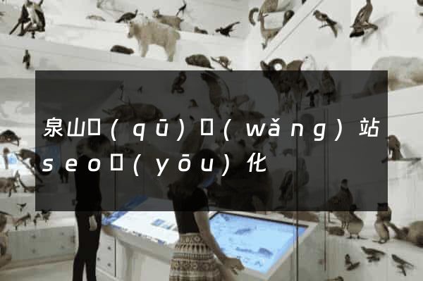 泉山區(qū)網(wǎng)站seo優(yōu)化