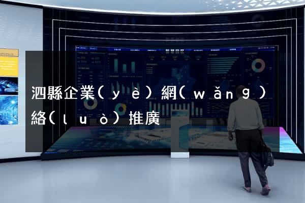 泗縣企業(yè)網(wǎng)絡(luò)推廣