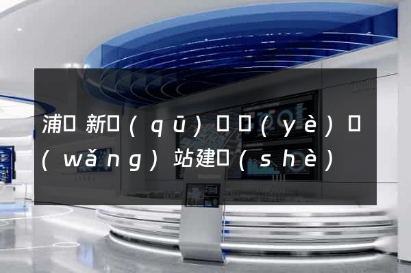 浦東新區(qū)專業(yè)網(wǎng)站建設(shè)
