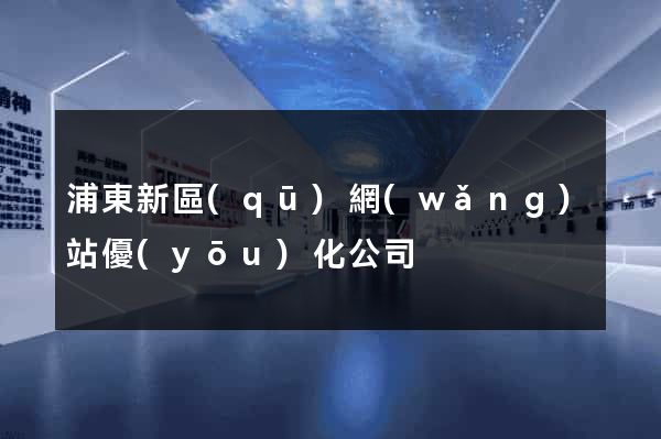 浦東新區(qū)網(wǎng)站優(yōu)化公司