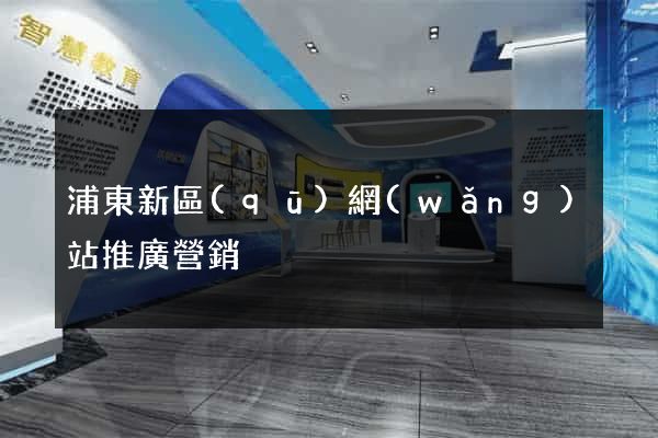 浦東新區(qū)網(wǎng)站推廣營銷