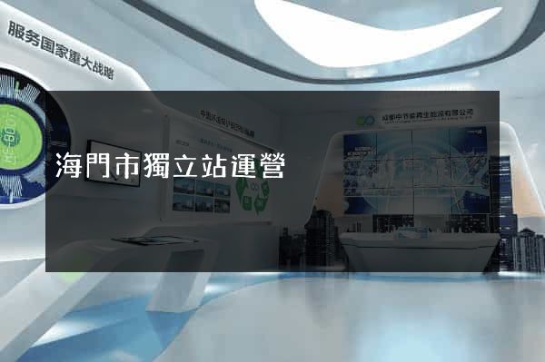 海門市獨立站運營