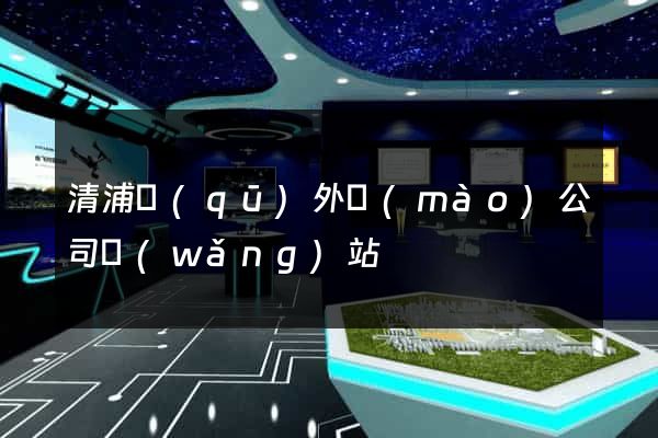 清浦區(qū)外貿(mào)公司網(wǎng)站