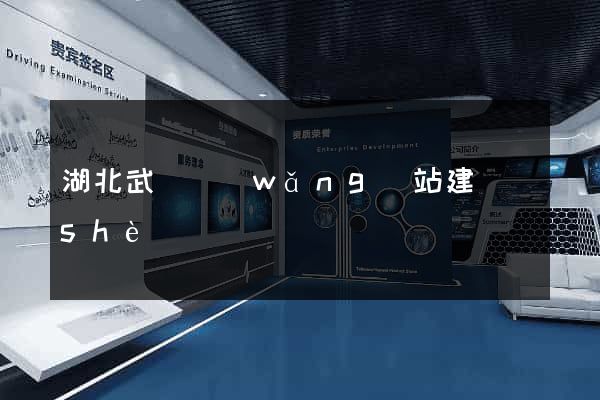 湖北武漢網(wǎng)站建設(shè)