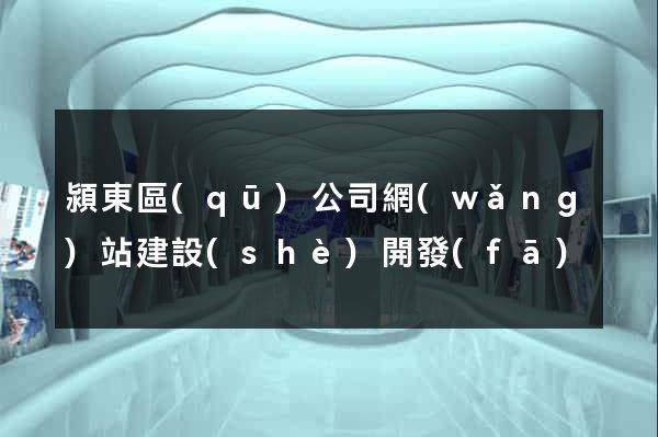 潁東區(qū)公司網(wǎng)站建設(shè)開發(fā)