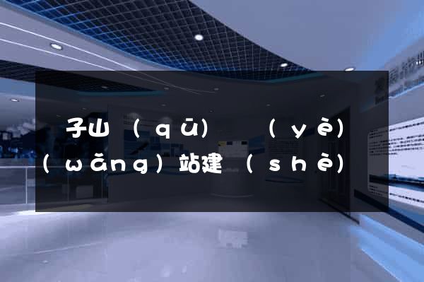 獅子山區(qū)專業(yè)網(wǎng)站建設(shè)