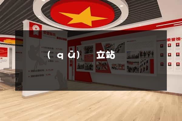 盧灣區(qū)獨立站運營