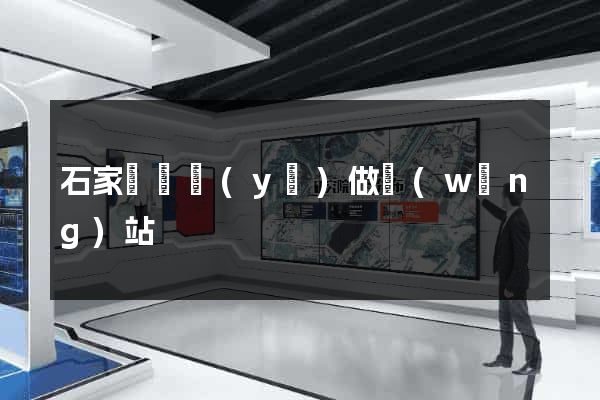 石家莊專業(yè)做網(wǎng)站