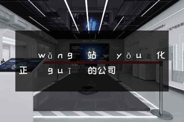 網(wǎng)站優(yōu)化正規(guī)的公司