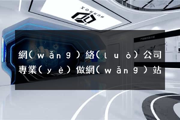 網(wǎng)絡(luò)公司專業(yè)做網(wǎng)站