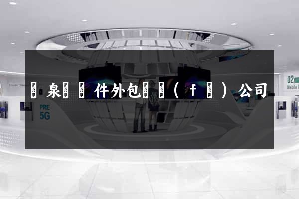 臨泉縣軟件外包開發(fā)公司