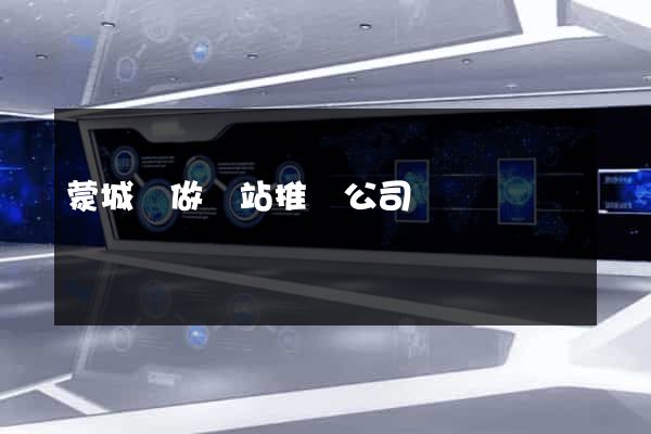 蒙城縣做網站推廣公司