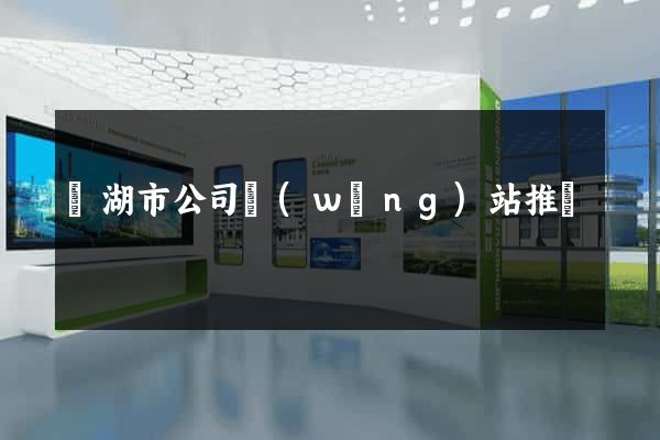 蕪湖市公司網(wǎng)站推廣