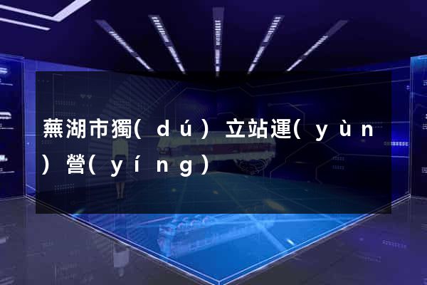 蕪湖市獨(dú)立站運(yùn)營(yíng)