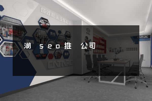 蕪湖縣seo推廣公司