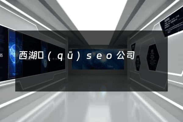 西湖區(qū)seo公司