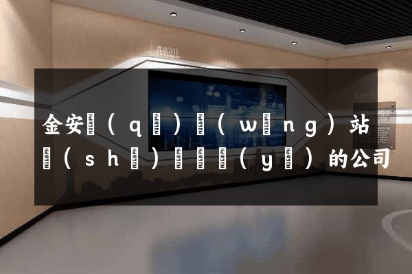 金安區(qū)網(wǎng)站設(shè)計專業(yè)的公司