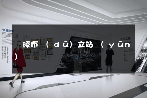 銅陵市獨(dú)立站運(yùn)營