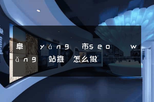 阜陽(yáng)市seo網(wǎng)站推廣怎么做