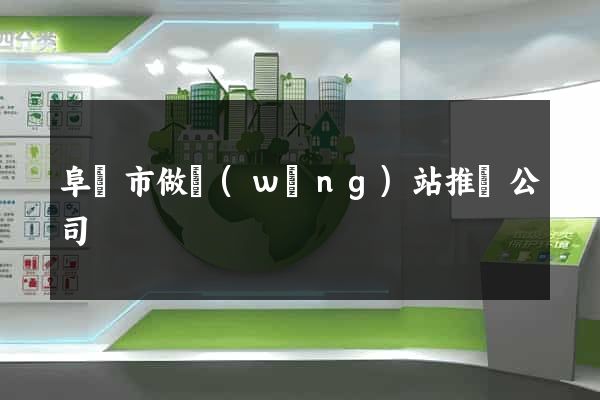 阜陽市做網(wǎng)站推廣公司