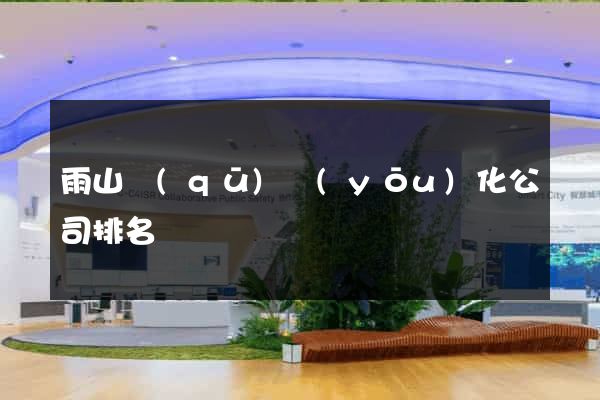 雨山區(qū)優(yōu)化公司排名