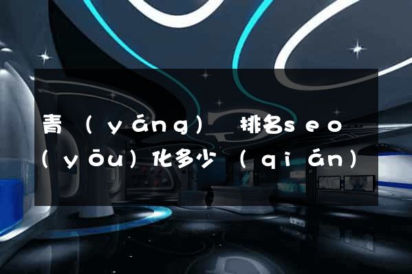 青陽(yáng)縣排名seo優(yōu)化多少錢(qián)