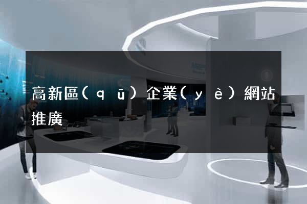 高新區(qū)企業(yè)網站推廣